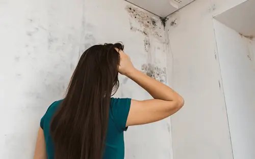 ¿Tu condominio tiene problemas de filtración? Señales y soluciones | MARO CMP